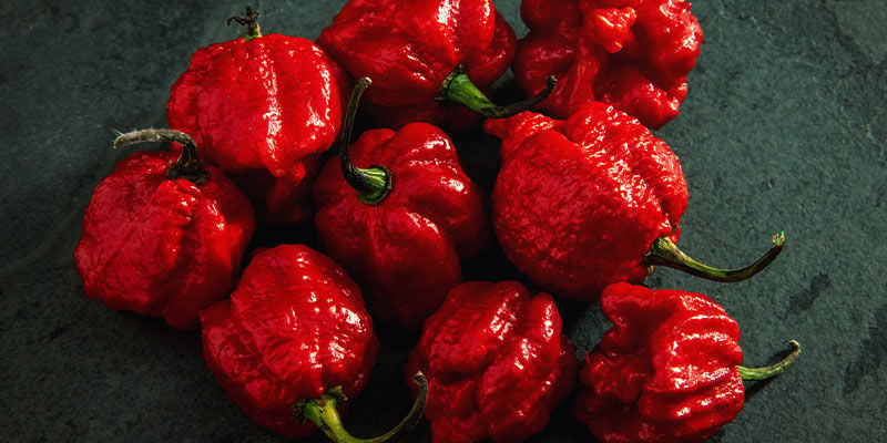 Hottest Peppers: 7 Pot Primo