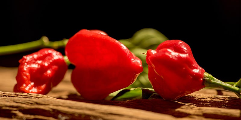 Red Savina Habanero: 577K SHU
