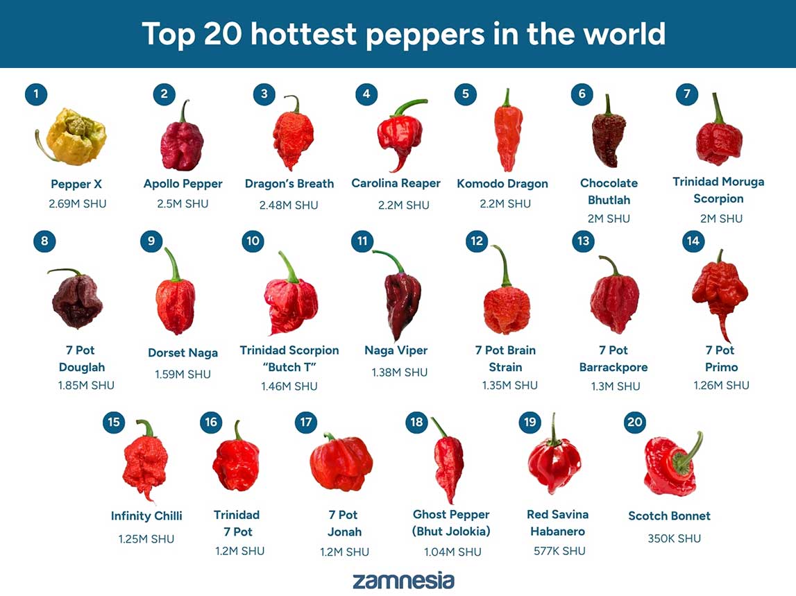 Top 20 hottest peppers in the world