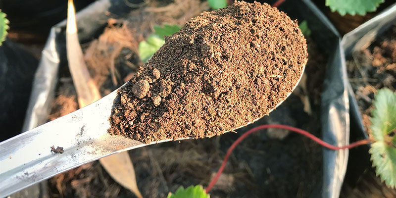 Guano Super Soil Mix