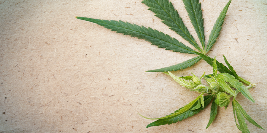 Is hemp and cbd the same image