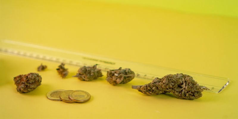 4 Ways To Measure Weed Without Scales - Zamnesia Blog