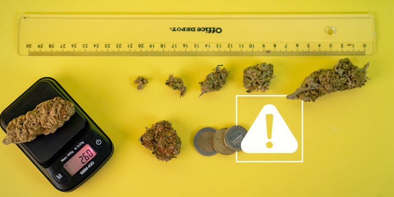 Weed Measurement Guide: Get a Visual of Common Weights