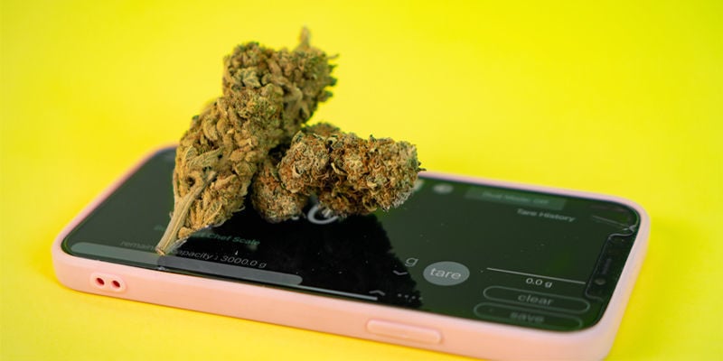 4 Ways To Measure Weed Without Scales - Zamnesia Blog