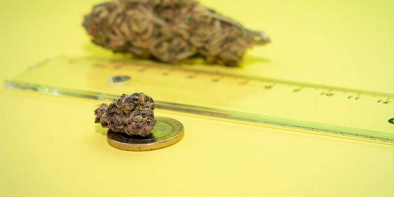 How Can You Weigh or Measure Your Cannabis Without a Scale?