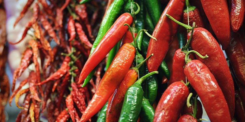 How To Dry Chilies And Peppers
