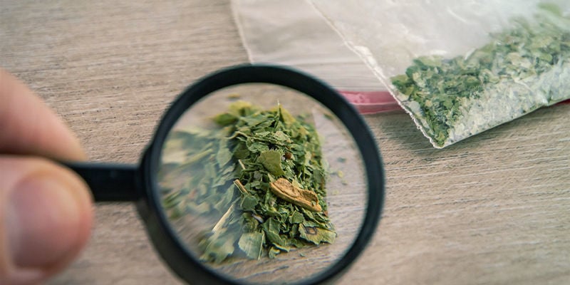 Acidic, Decarbed, And Synthetic Cannabinoids: Understanding The Differences
