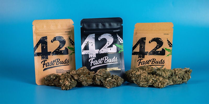 FastBuds international partnerships