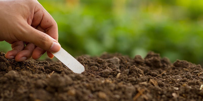 Improve Soil Moisture Levels