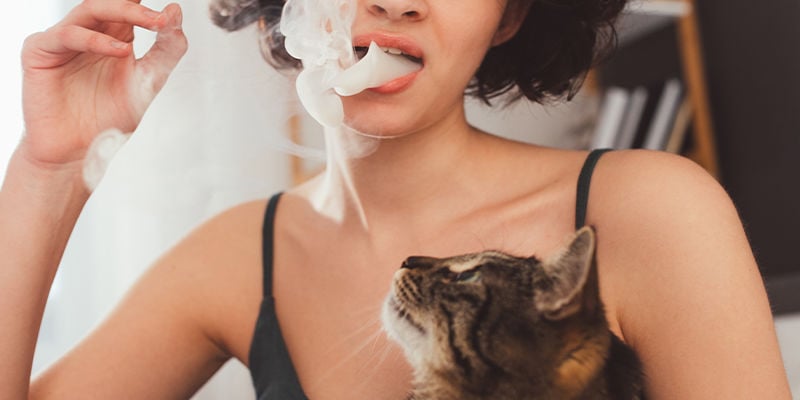 Can animals get high from secondhand cannabis smoke?