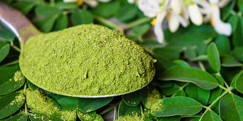 Get More Out Of Moringa Today