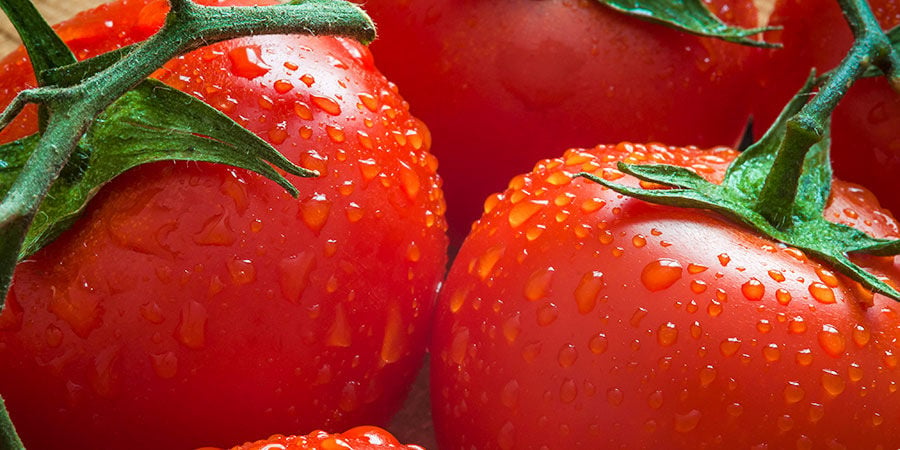 Why should you plant tomatoes?