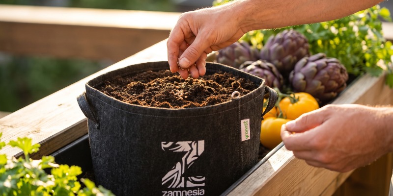 Strange vegetables: Get sowing! Strange vegetables: Get sowing!