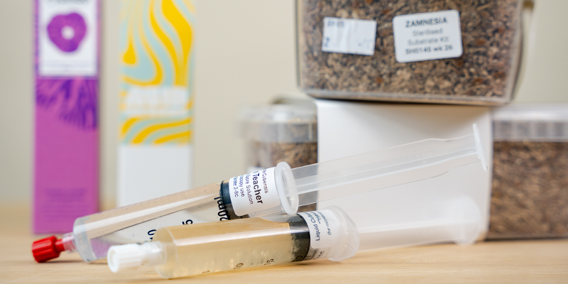 Spore Syringe And Liquid Culture: The Basics