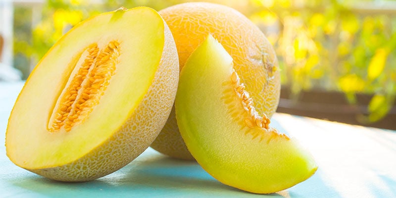 Muskmelon