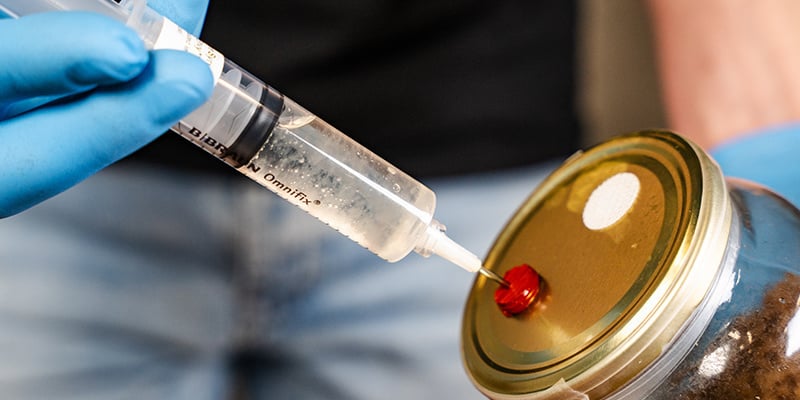 Inoculate the kit by sticking the syringe into the medium through the injection port