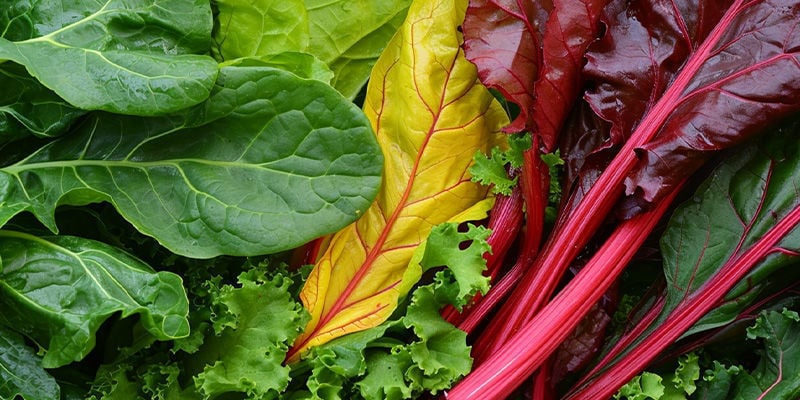 Top 5 leafy greens to grow at home