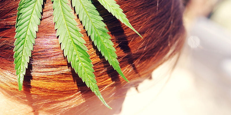 Does Using Cannabis Cause Hair Growth Or Loss?