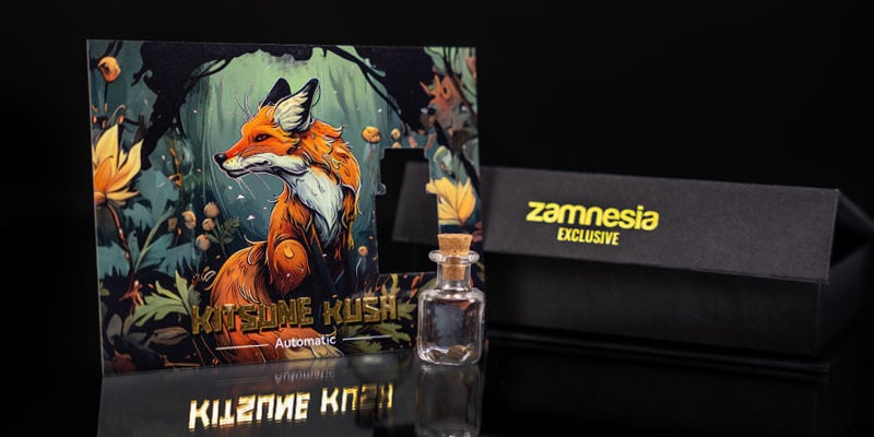 Rank 1 — Scouting Fox: Kitsune Kush Auto