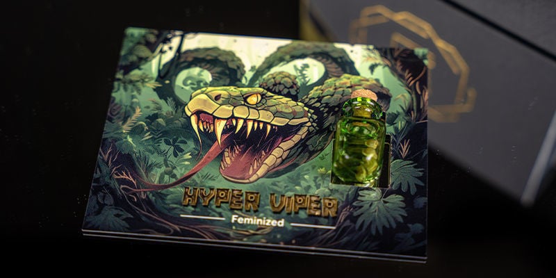 Rank 2 — Rising Cobra: Hyper Vyper