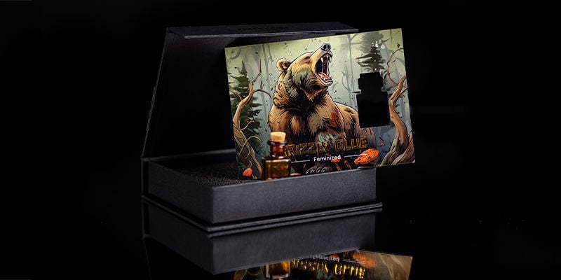 Rank 4 — Roaring Bear: Grizzly Glue