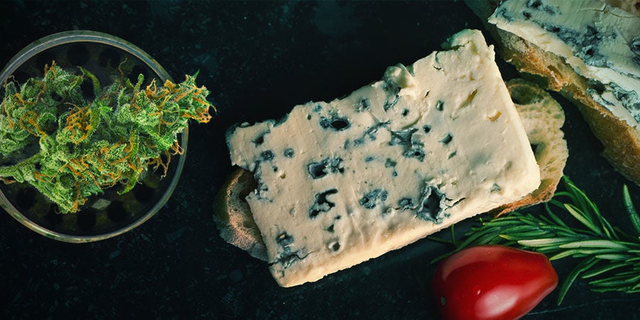 BLUE CHEESE: FLAVOUR & EFFECTS