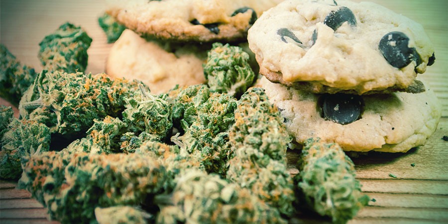Cannabis Improves Appetite