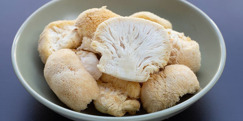 The cognitive and physical benefits of functional mushrooms