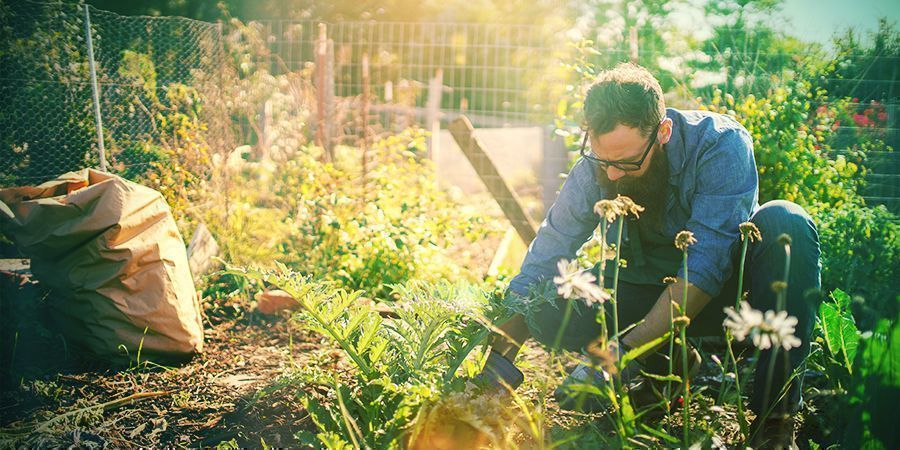 Creating The Mushroom Patch