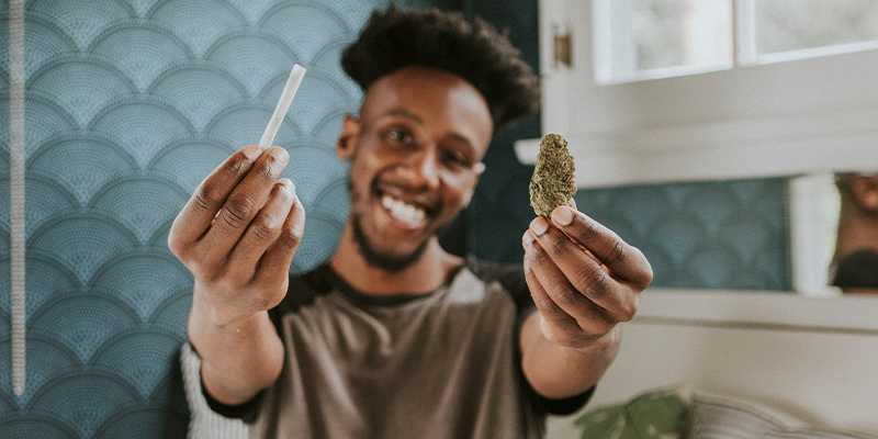 What are cannabis influencers?