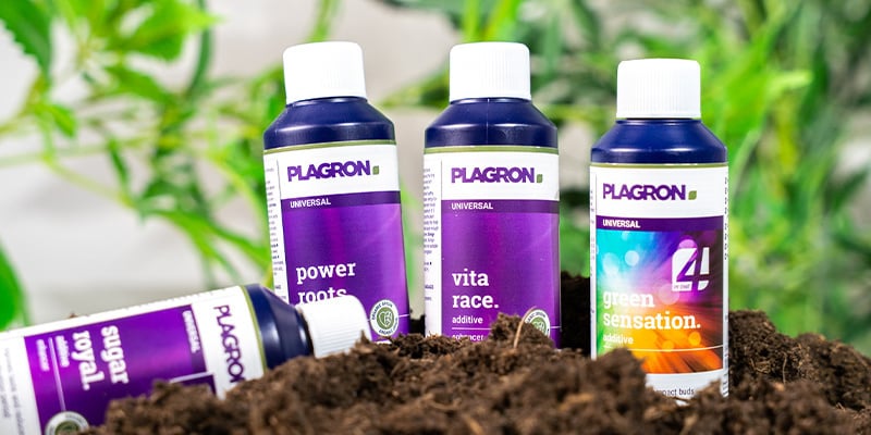 Cannabis additives: A worthy consideration