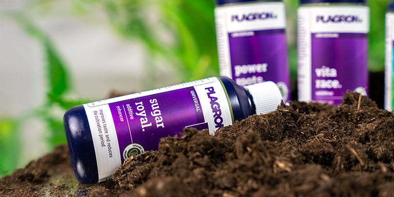 What are cannabis additives?