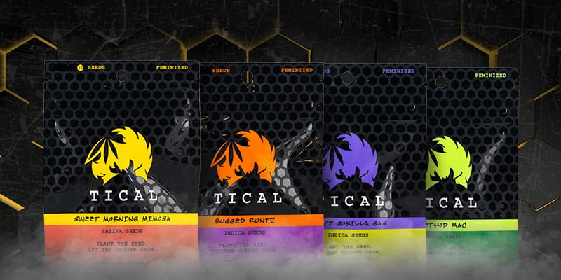 Meet the exclusive TICAL strains