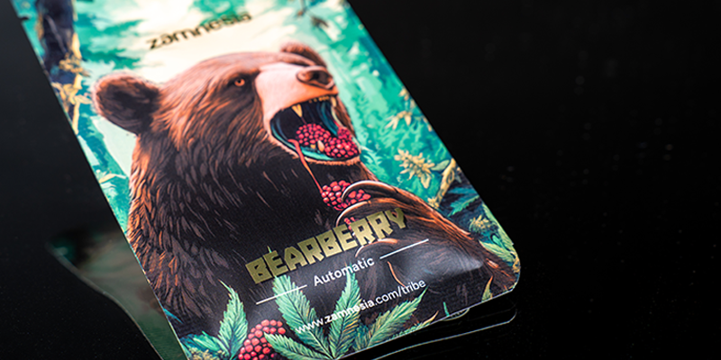 Rank 4: Bearberry Automatic (Zamnesia Seeds)