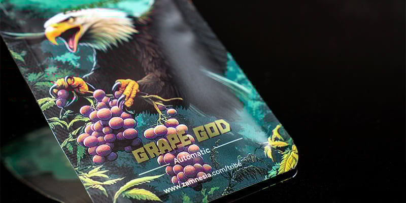 Rank 5: Grape God Automatic (Zamnesia Seeds)