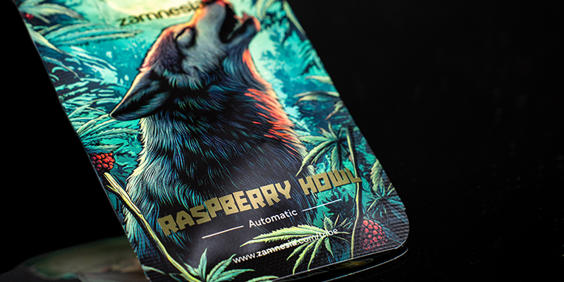 Rank 3: Raspberry Howl Automatic (Zamnesia Seeds)