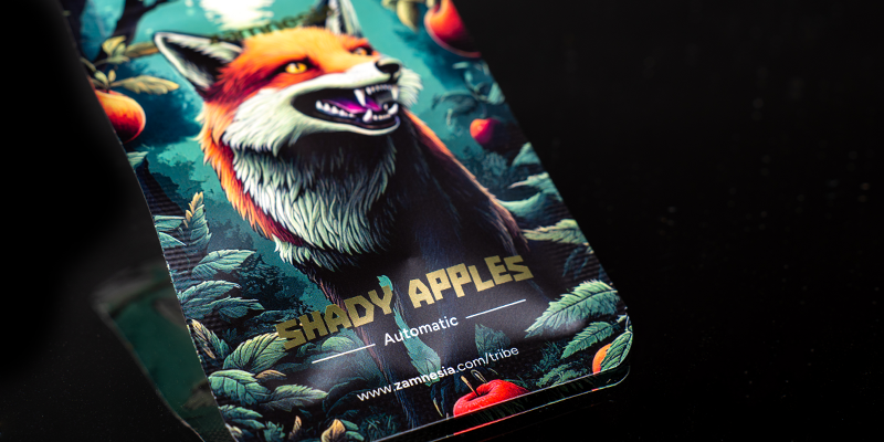 Rank 1: Shady Apples Automatic (Zamnesia Seeds)