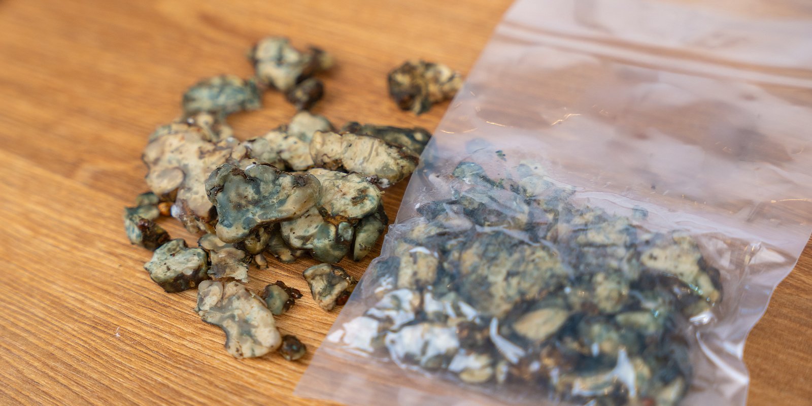 How to tell if magic truffles have gone bad