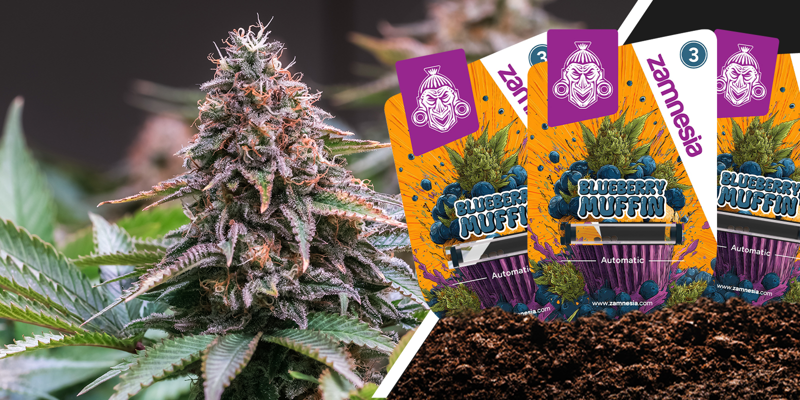 Blueberry Muffin: Berry-sweetness in every crumb Blueberry Muffin: Berry-sweetness in every crumb