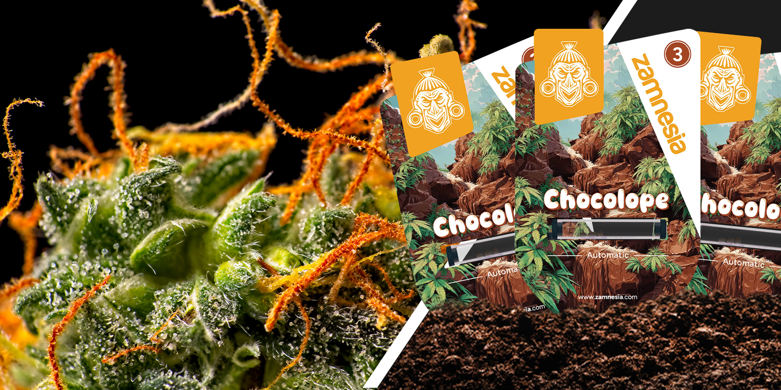 Chocolope: A nostalgic vibe with a chocolate twist Chocolope: A nostalgic vibe with a chocolate twist