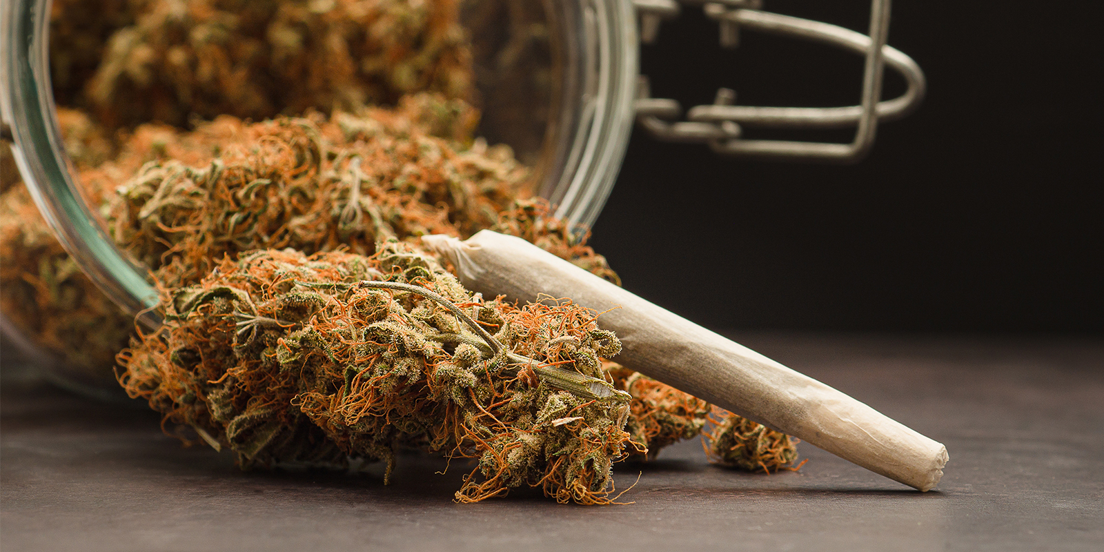 The valley's finest, from seed to stash The valley's finest, from seed to stash