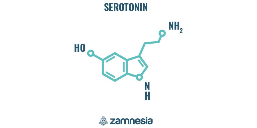 How Does LSD Work?