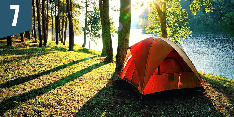 Go camping in the forest