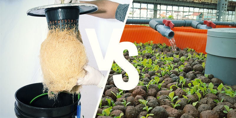 Hydroponic vs Soil Cannabis Cultivation - RQS Blog