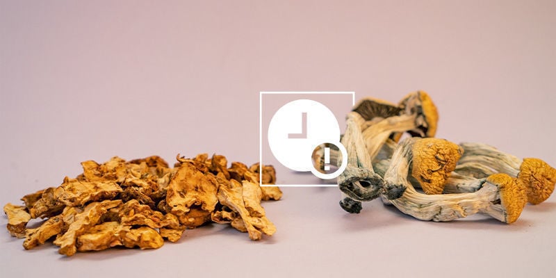 How to store magic mushrooms and truffles long term