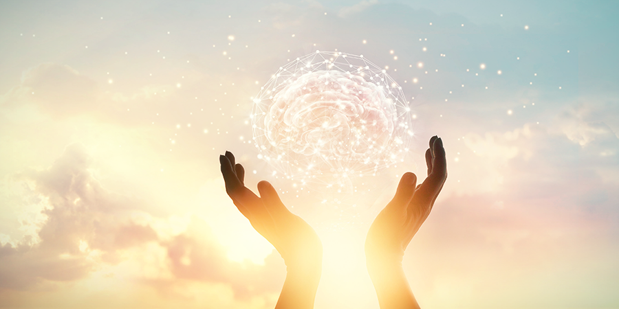 Magic Mushrooms Connect The Brain On New Levels MAGIC MUSHROOMS CONNECT THE BRAIN ON NEW LEVELS