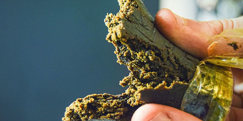 Make Your Own Bubble Hash Today