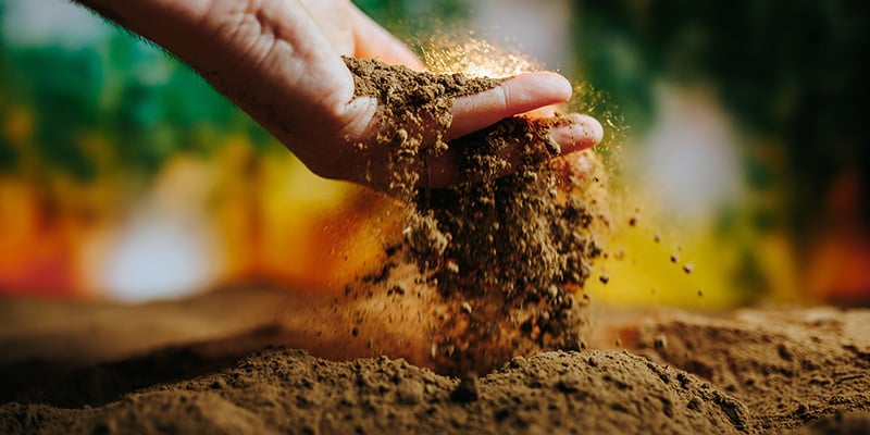 Tip #4: Grow your weed in the right soil/medium