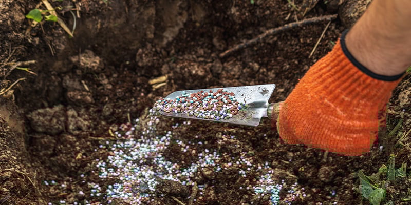 Tip #6: Fertilise with the right nutrients and at the right time
