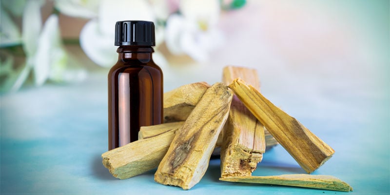 How To Burn Palo Santo Essential Oil